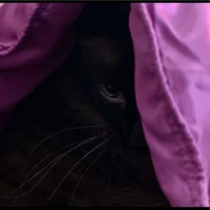 Meet your Posher, Mae